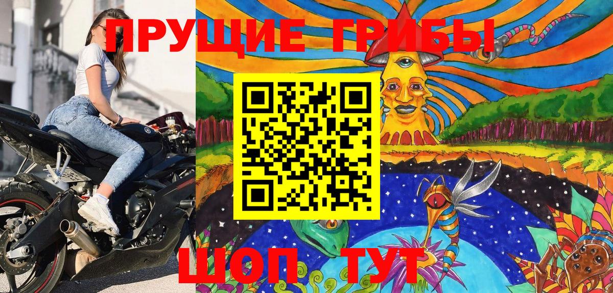 хочу наркоту  Вход с VPN  Свободный  Псилоцибиновые грибы Magic Shrooms 